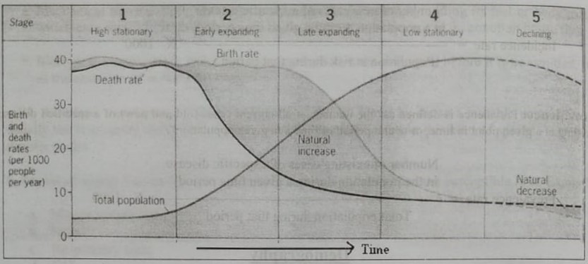 Components of demography